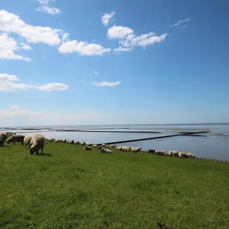 Grosse Nordseewelle Ohne Hund *