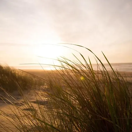 Ferienhaus Große Nordseewelle Ohne Hund